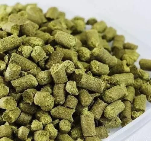 啤酒釀造，啤酒廠設(shè)備，啤酒花